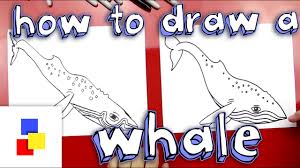 A whale has a fin on its back, one on each side, and a tail fin. How To Draw A Whale Youtube