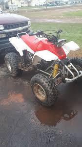 Image result for Mimosa Yellow 1990 Tracer