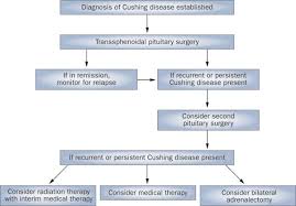 Check spelling or type a new query. Management Of Cushing Disease Nature Reviews Endocrinology