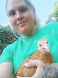 Is my chicken a hen or rooster?