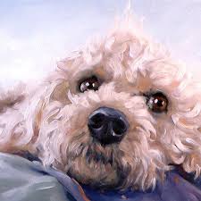 Canine Cuties Benutzerdefinierte Pet Portrait Gemalde In Olen Von Puci 8 X 8 Zoll Hayvan Resimleri Hayvan Ve Tablolar
