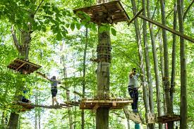 Get details of location, timings and contact. Foto Parc Aventura Brasov