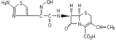Image result for Cefdinir
