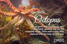 I Took Zimbio S Quirky Animal Quiz And I M A Octopus What Are You Spirit Animal Quiz Animal Quiz Animal Spirit Guides