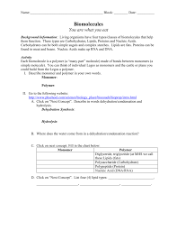 Biomolecule Webquestse