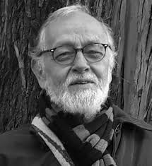 Periódico Tierra Caliente Edición 234 by Periódico Tierra Caliente