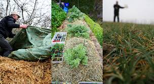 Toujours à la pointe de l'innovation et de fabrication française. 5 Conseils Pour Utiliser Le Fumier De Cheval Au Potager