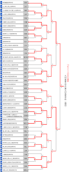 日本ソフトボール協会