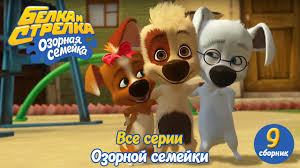 белка и стрелка озорная семейка смотреть онлайн все серии Ozornaya Semejka Belka I Strelka Vse Serii Podryad Sbornik 9 Pouchitelnyj Multserial Dlya Detej Youtube