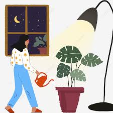 Maybe you would like to learn more about one of these? Gambar Gadis Kartun Menyiram Bunga Di Malam Hari Pot Bunga Yang Digambar Tangan Lampu Listrik Yang Digambar Tangan Pekerjaan Malam Png Transparan Clipart Dan File Psd Untuk Unduh Gratis
