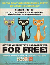 We've granted over $100 million to prevent pet homelessness through spay and neuter initiatives. Kitty Kaboodle Spay Save