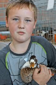 Rassegeflügelchau in Neukloster