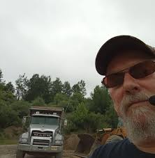 Barnyard cats in Jacksonville, Florida