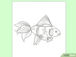 Archon of cruelty card price from modern horizons 2 (mh2) for magic: How To Draw Goldfish 9 Steps With Pictures Wikihow