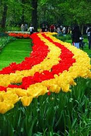 Photozzofworld Tulip Lane Keukenhof Flower Garden Netherlands Jardines Bonitos Esculturas De Jardin Jardines Hermosos