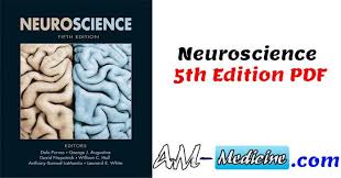 Pin On Pdf Free Medical Books