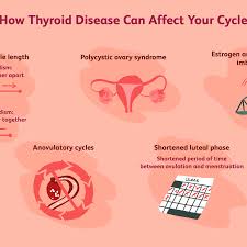 Clearly alcohol use can cause major problems for the pregnant woman and her baby. Thyroid Disease S Effect On Fertility And Pregnancy