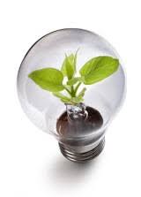 We did not find results for: Cultivating Indoor Plants With Solar Powered Led Grow Lights Novus Light Today