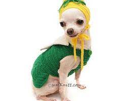 Bling Bling Orange Dog Dress Crochet Summer Hat Unique Chihuahua Clothes Puppy Clothes Fancy Df101 By Myknitt Free Shipping Dog Clothes Cute Dog Clothes Pet Shirts