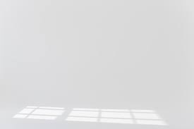 Download beautiful, curated free backgrounds on unsplash. Plain Background White Stock Photos And Images 123rf