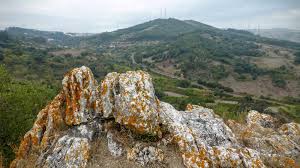 This was about 67% of all the recorded loures's in the usa. Wikiloc Picture Of Serra De Montemor Loures 5 6