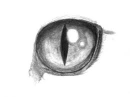 Pin On Eyes