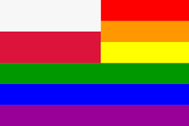 A printable pdf version of the flag is also available. The Poland Rainbow Flag Icons Png Free Png And Icons Downloads