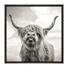 Black And White Cow Framed Pictures East Urban Home Funny Girl By Mark Gemmell Photograph Print Wayfair In 2020 Cow Canvas Highland Cow Canvas Framed Canvas Prints