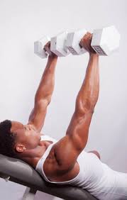 Bench Press Dumbbell Incline Bodbot