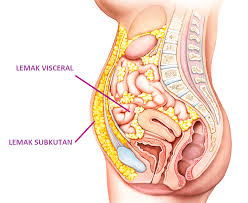 Sakit perut bagian bawah bisa jadi pertanda masalah kesehatan serius, baik pada wanita maupun pria. Ini Punca Kenapa Lemak Berkumpul Di Bahagian Perut Dan Kesan Buruknya Iluminasi