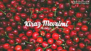 Lyrics Vietsub Kiraz Mevsimi Aydilge Cherry Season Ost Youtube