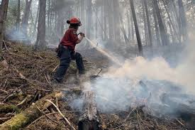 Sicamous council is paving the way for a smoother drive on pine street. Shuswap Wildfire Near Annis Bay Being Held Sicamous Eagle Valley News