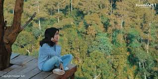 Hutan yang sekaligus digunakan sebagai tempat wisata ini sering disebut dengan hutan wisata. Taman Nasional Gunung Ciremai