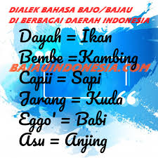 Pekan kota belud ) jest stolicą kota belud dzielnicy w west coast division of sabah , malezja. Dialek Bahasa Bajo Bajau Di Berbagai Daerah Indonesia Bajau Indonesia