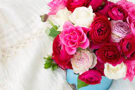 Ranunculus Flower Meaning Flower Meaning