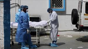 اللجوء إلى الأعشاب الطبية ووصفات الجدات للوقاية من فيروس كورونا في تونس. U Ec8ksrwro8km