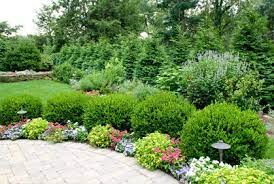 Call store during inclement weather. Best Shrubs Bushes Landscaping Designs Ideas Pictures Shrubs For Landscaping Landscaping Shrubs Evergreen Landscape
