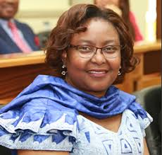 Orgãos e Organismos do Partido 2