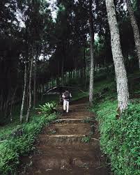 Gunung putri berada di daerah perbukitan lembang, bandung barat. Gunung Putri Lembang Tiket Masuk 2021 Fasilitas Camping