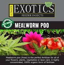 Insect frass causes plants to secrete chitinase. Ultimate Exotics Shop