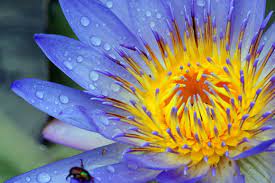 26,391 likes · 346 talking about this. 50 De Poze Splendide Cu Flori