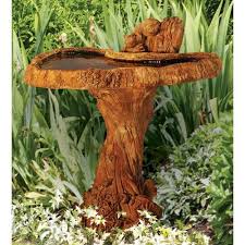 We did not find results for: 11 Of The Best Birdbaths For Your Backyard In 2021 Gardener S Path