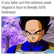 Maybe you would like to learn more about one of these? Dragon Ball 10 Hilarious Vegeta Memes That Are Too Funny
