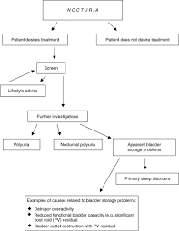 Image result for Nocturia
