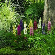 Pin On Landscape Design