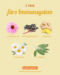 5 Tees Die Dein Immunsystem Starken In 2020 Immunsystem Eat Smarter Essen Tipps