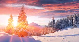Check spelling or type a new query. Happy Friday Before Christmas 12 20 19 The Badgers Den Graphic Design Forum