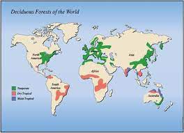 Deciduous Forest Location Map Deciduous Forest Facts: Location, Animals & More - Facts.net