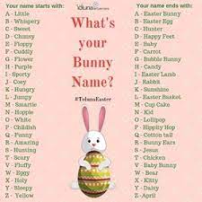 Names for fancy grey bunny names. What Is Your Bunny Name Toluna