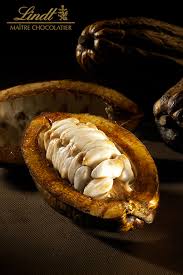 Lindt Chocolat Cacao Cacao Cocoa Chocolate
